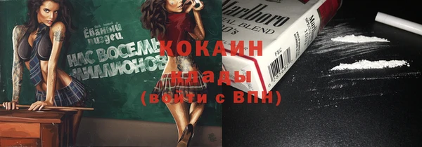 шишки Медногорск