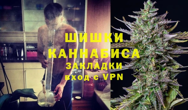 шишки Медногорск