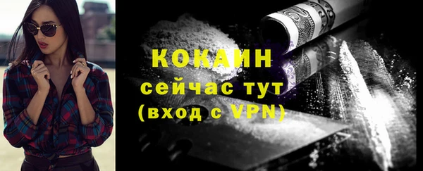 прущие грибы Михайлов