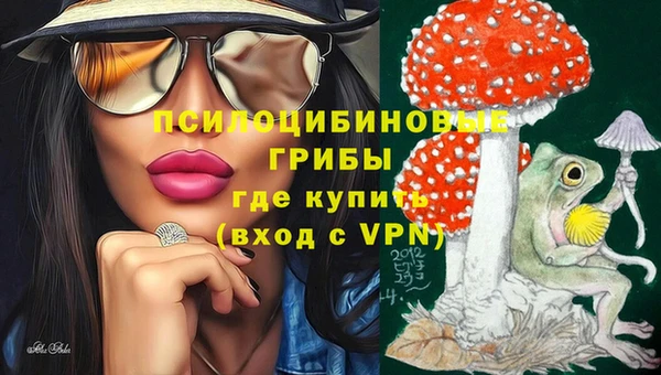 шишки Медногорск