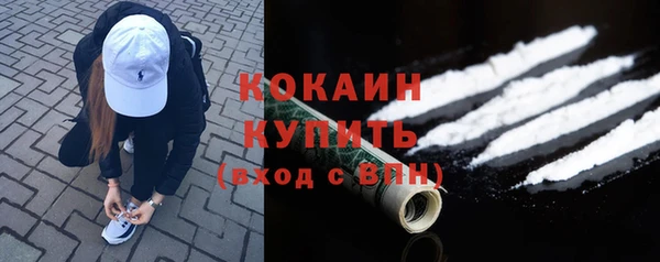 прущие грибы Михайлов