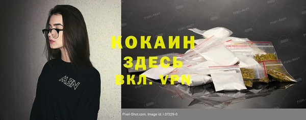 прущие грибы Михайлов
