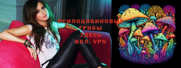 прущие грибы Михайлов